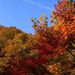 20071118_ibarakitrip_121